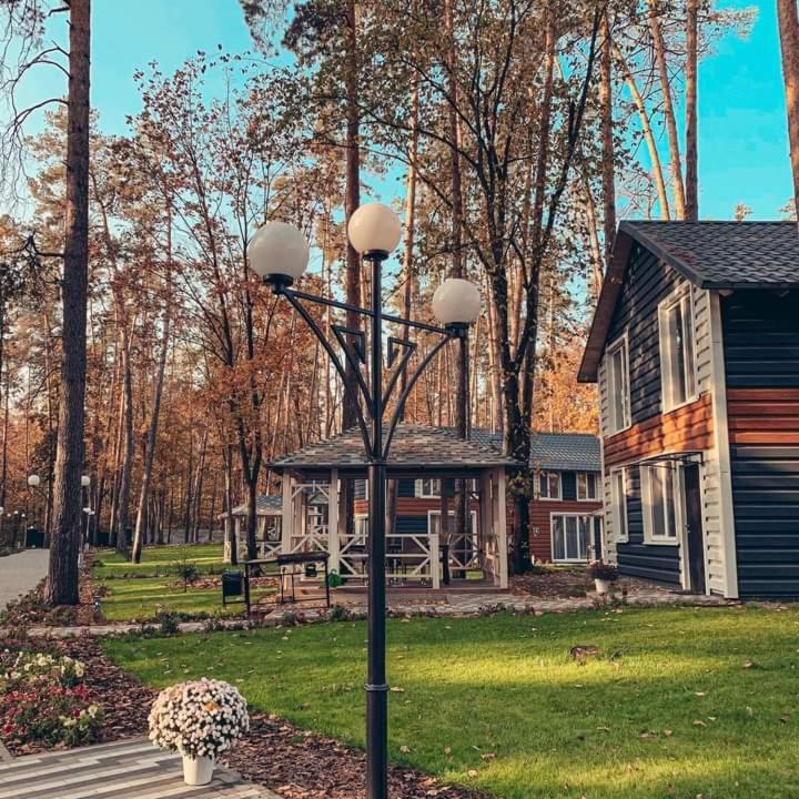 Sokirno Клуб Відпочинку Dachaヴィラ エクステリア 写真